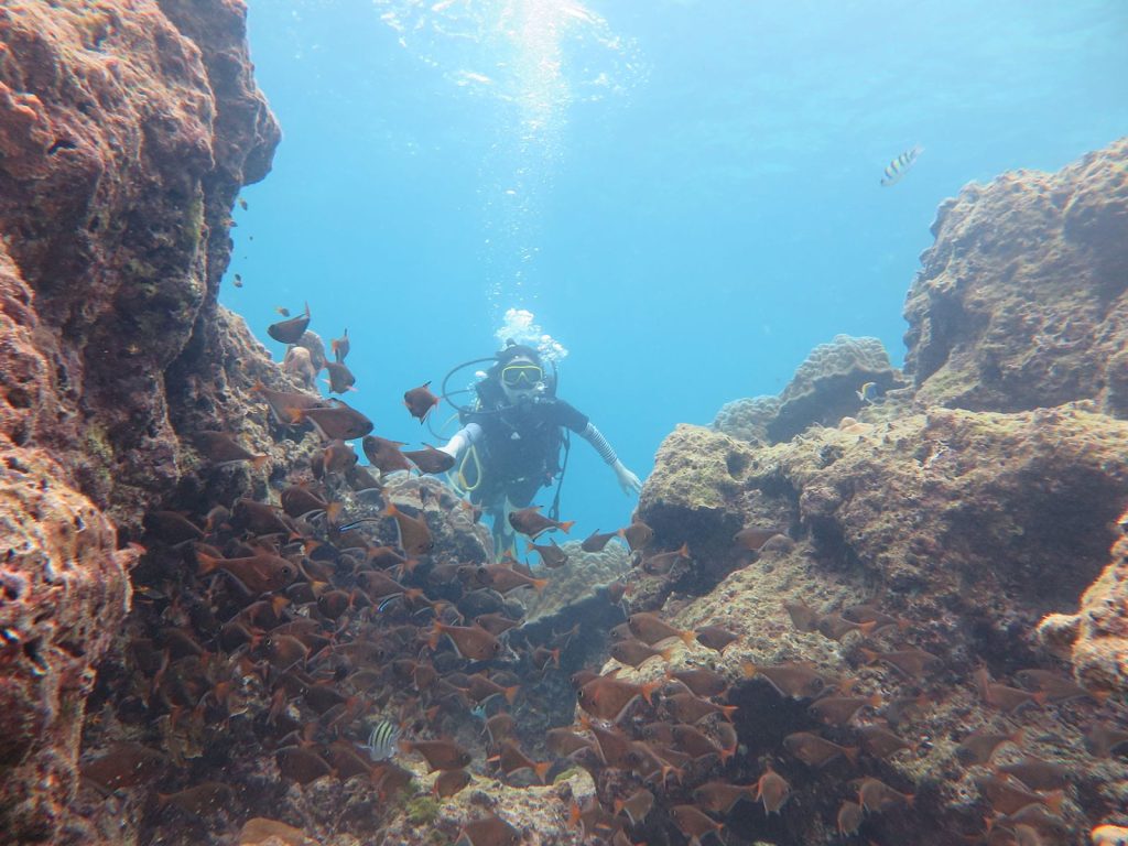 diving-under-the-sea-thailand-2022